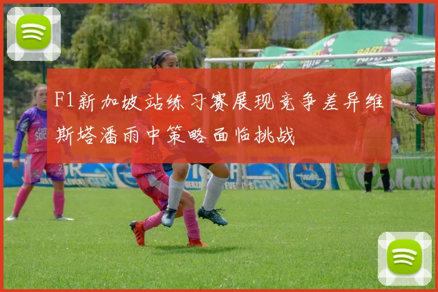 F1新加坡站练习赛展现竞争差异维斯塔潘雨中策略面临挑战